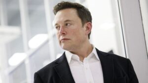 Elon Musk fue mencionado en el documento "La ley del más rico"